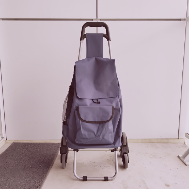 !!!MOVE OUT SALE!!! Stair climber shopping cart