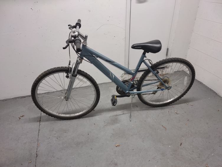 women's 21" bike