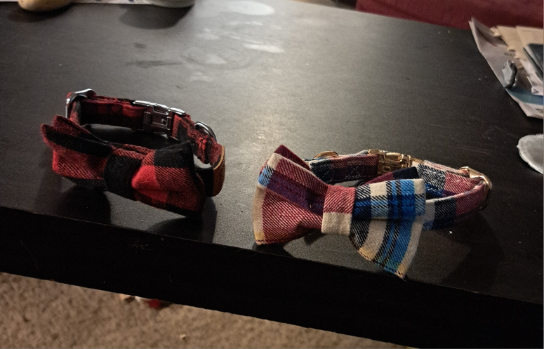 🧡  Cute collars - photo 3
