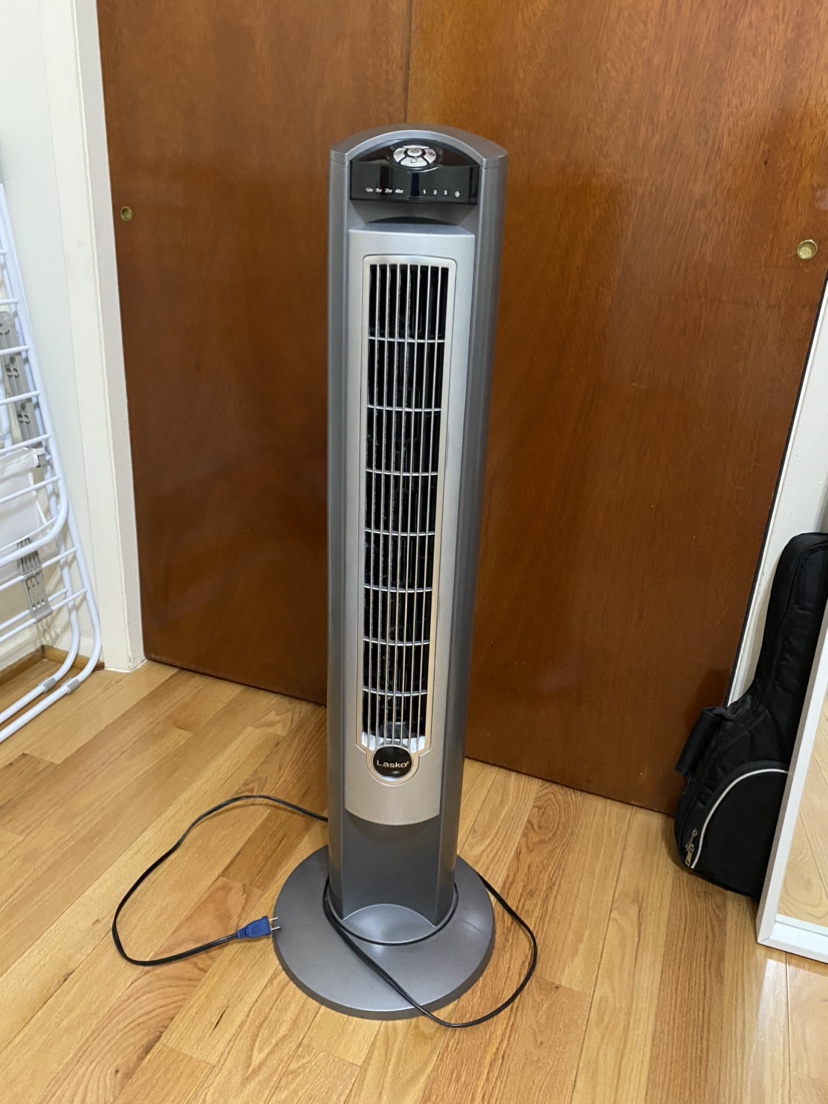 Fan