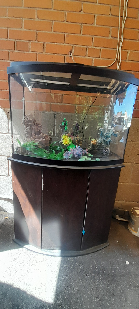 fish tank with everything you neen thumbnail