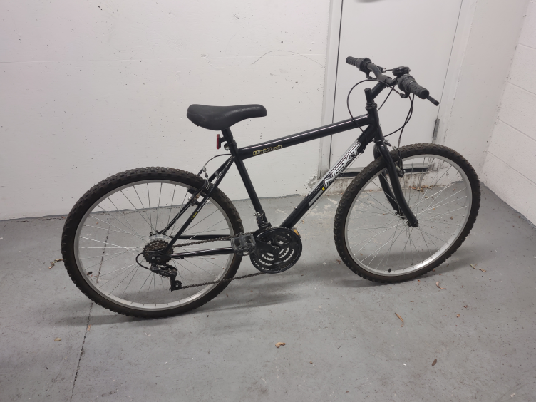 19" bike