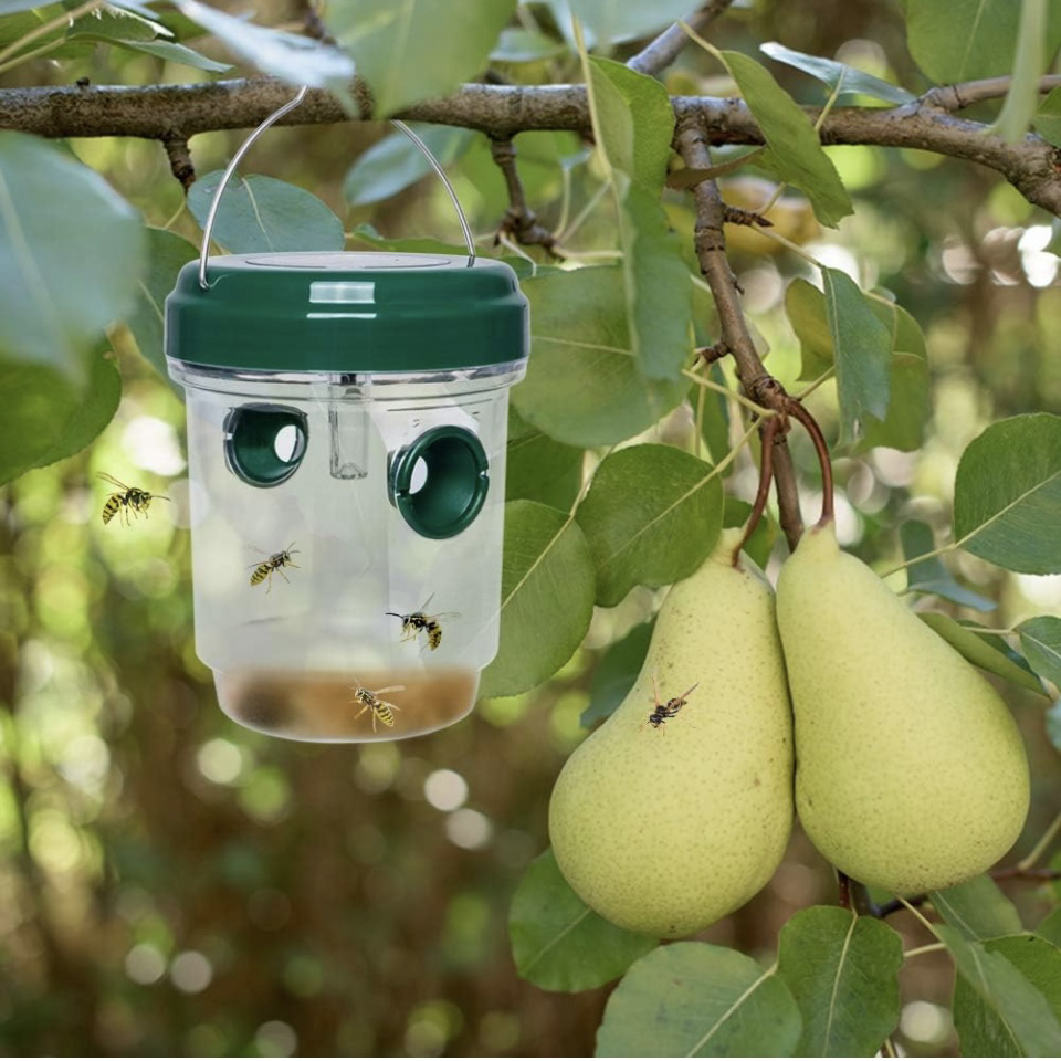 2 Pack Solar Wasp Traps, Solar Powered Wasp Killer Hanging image indicator(8)