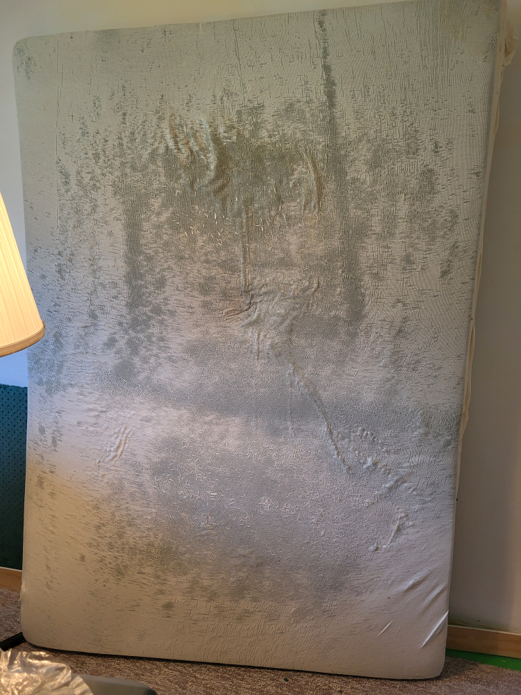 6" Memory Foam Mattress - photo 2
