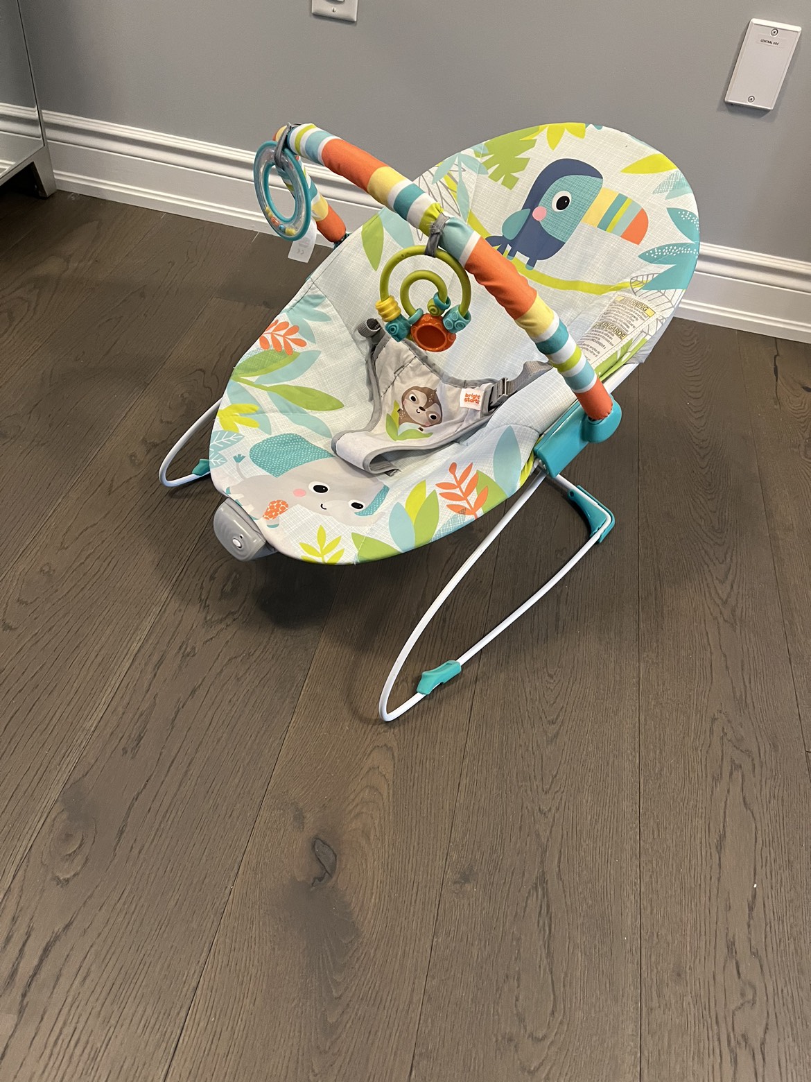 Baby bouncer brand new (no box) Ret $98 image indicator(3)