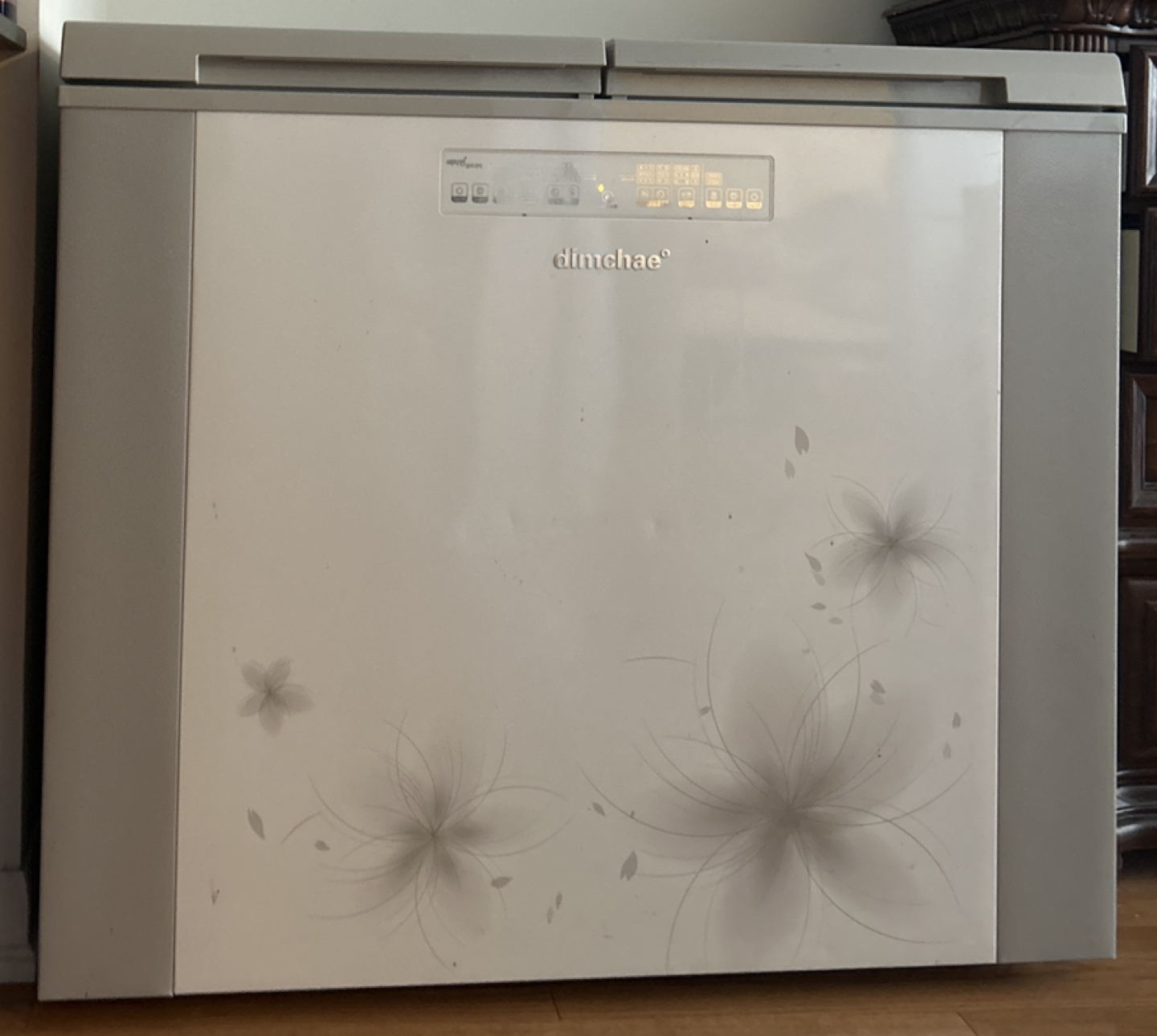 Refrigerator for Kimchi