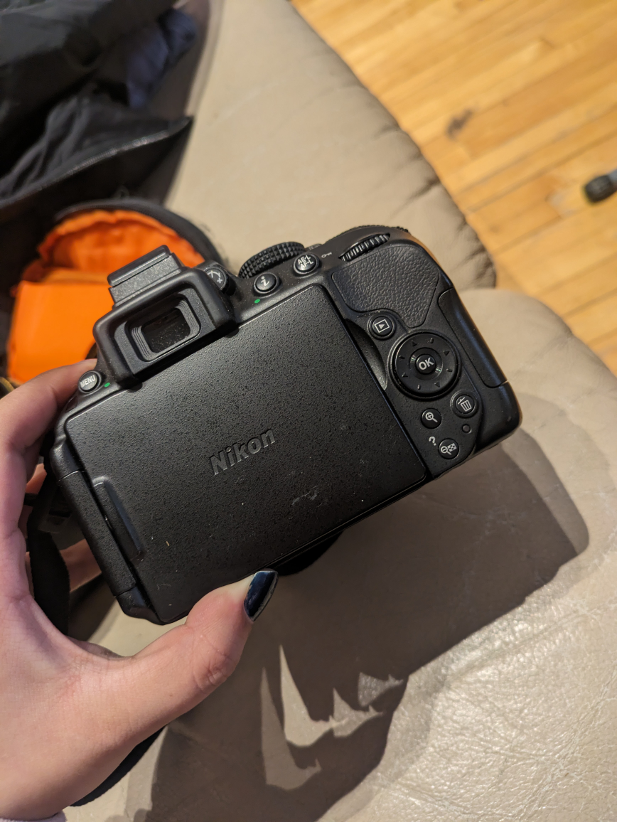 Nikon D5300 - AF-P NIKKOR 18-55mm - photo 4