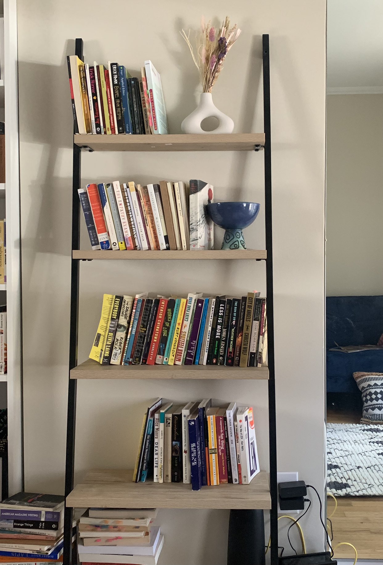 Ladder Bookshelf