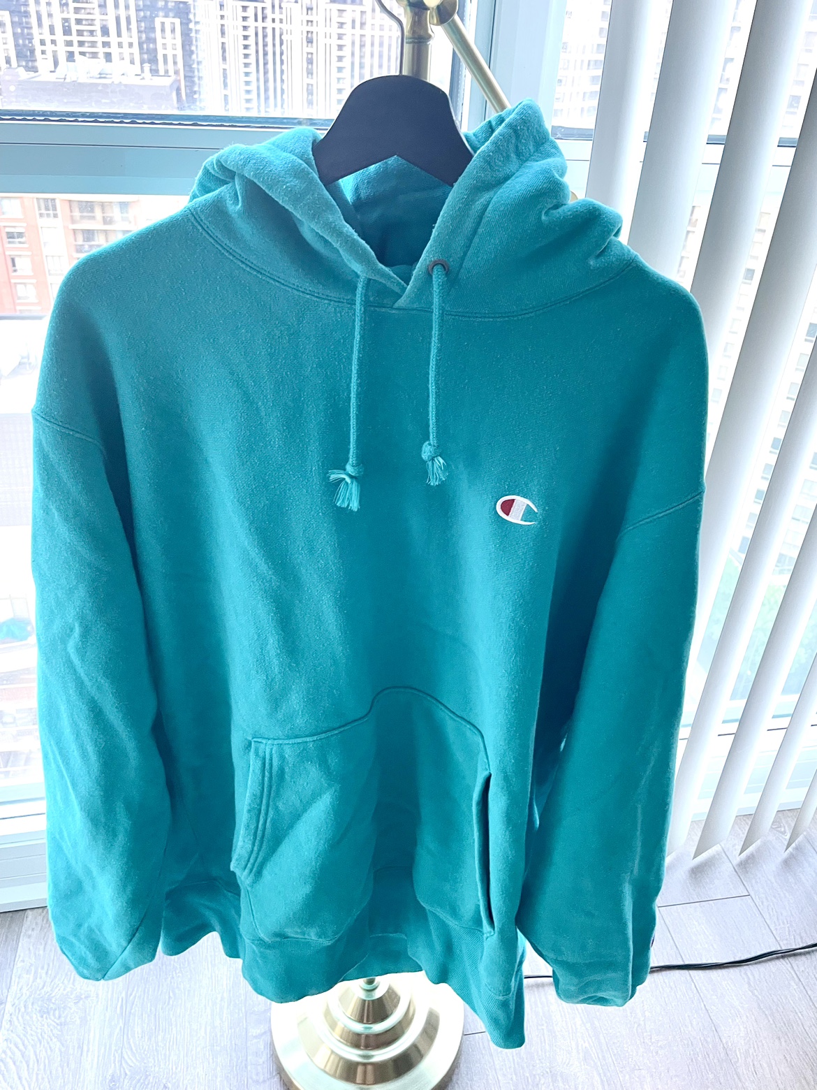 Champion Hoodie in blue green thumbnail