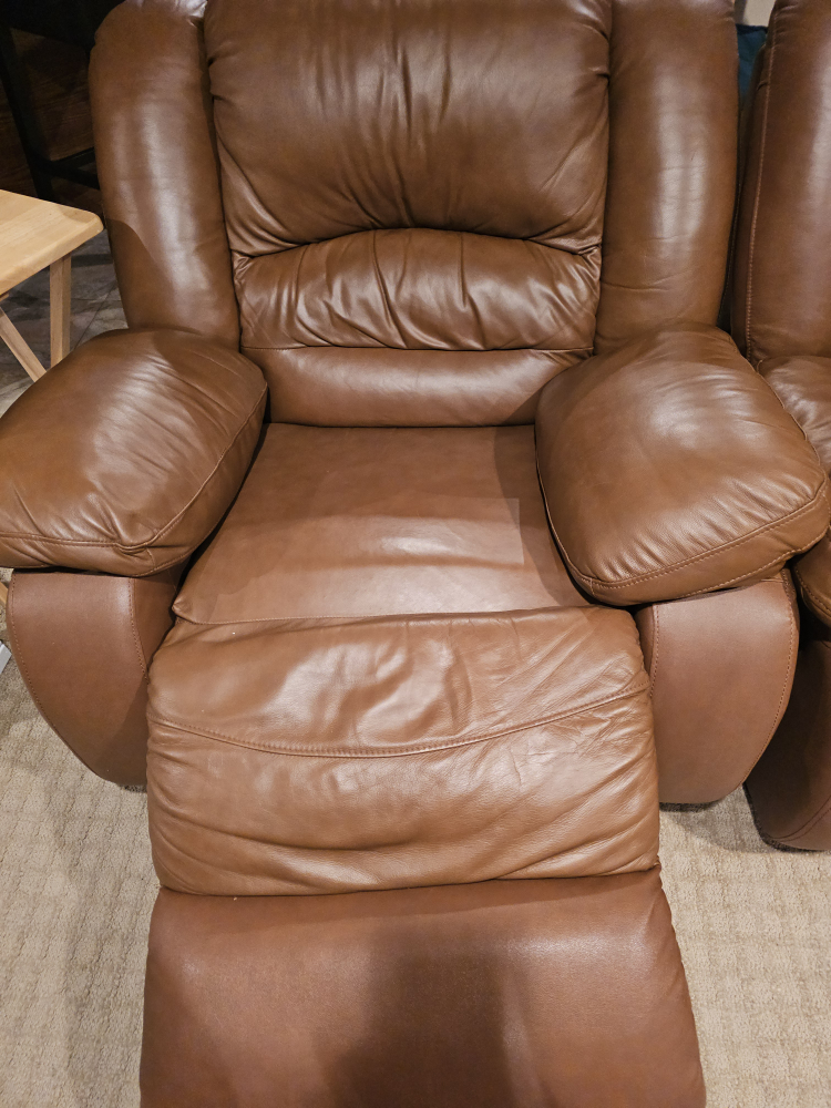 Leather coach set