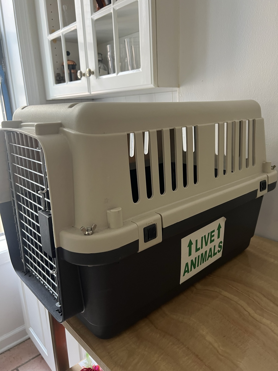TSA approved hard small kennel - photo 4