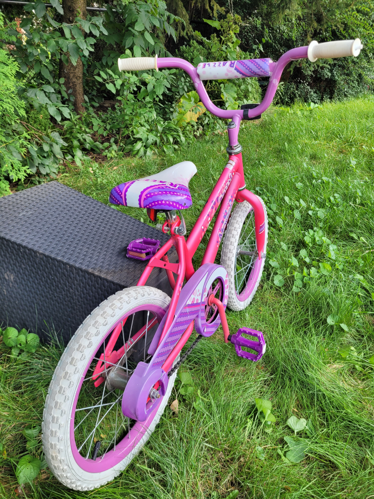 Girls Bike Pink Razzle with 16" Wheels image indicator(2)
