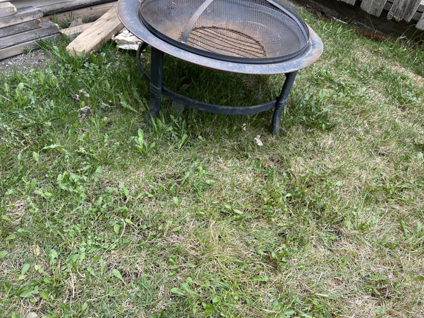 Fire pit - photo 2