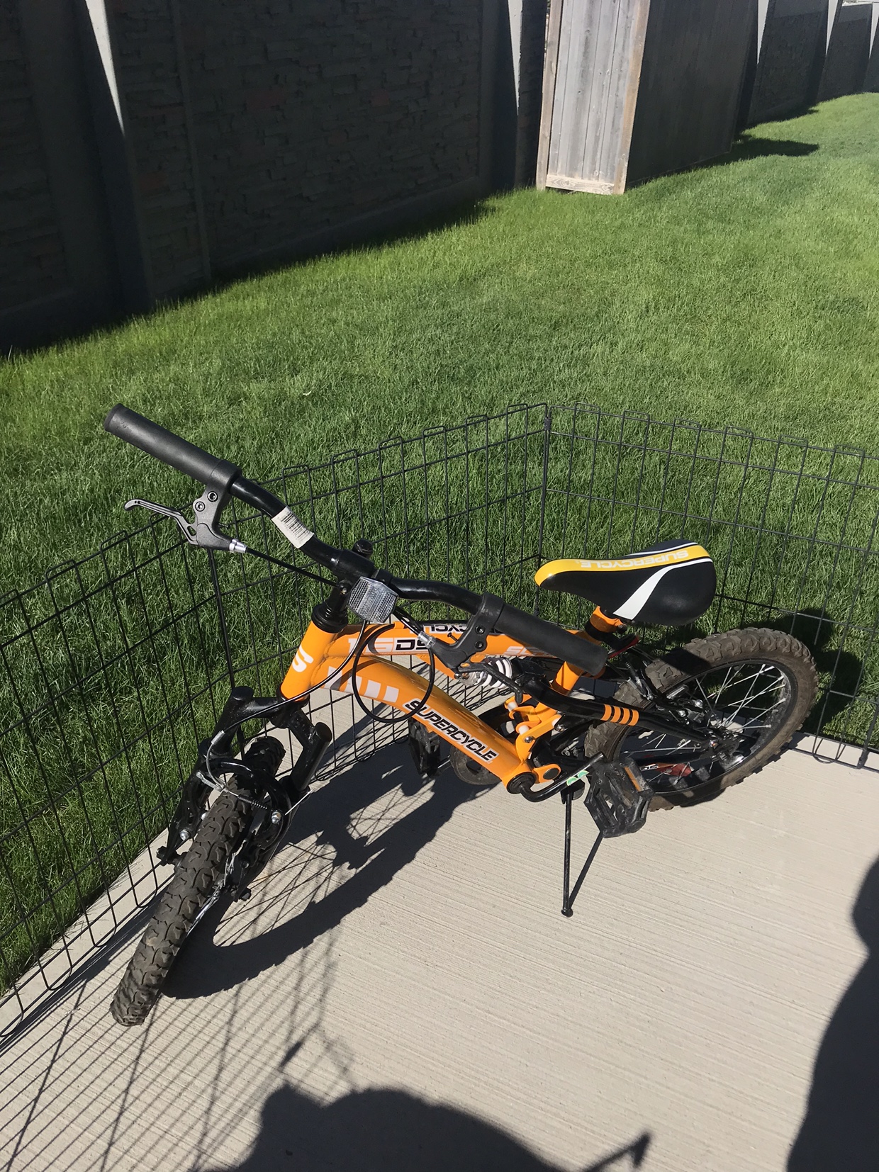 Kids Bike for Age 5-12, Two Wheel