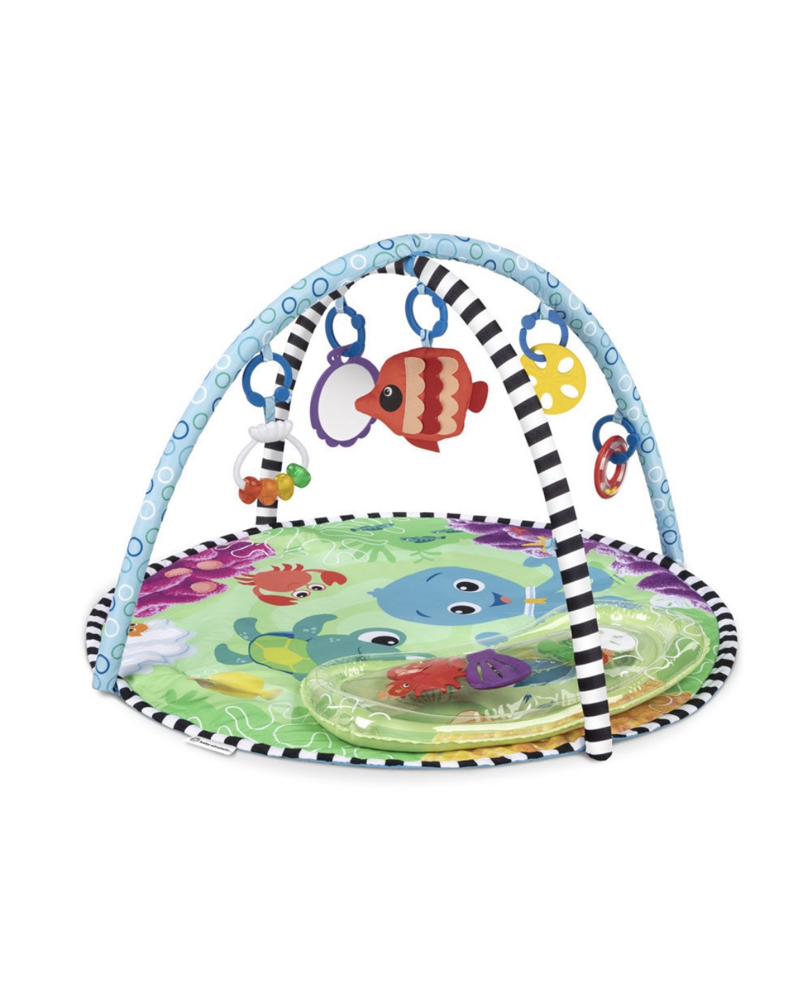 #freecycle 🥕Baby Einstein Sea Floor 2-in-1 Water Mat Play Gym thumbnail