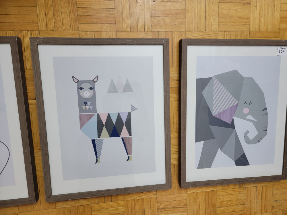 3 x Animal Framed Wall Art Structube 17"x21 image indicator(2)