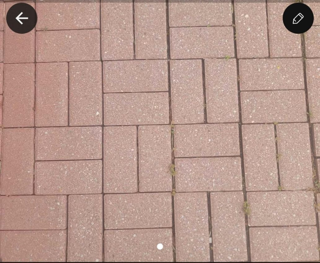 Patio brick