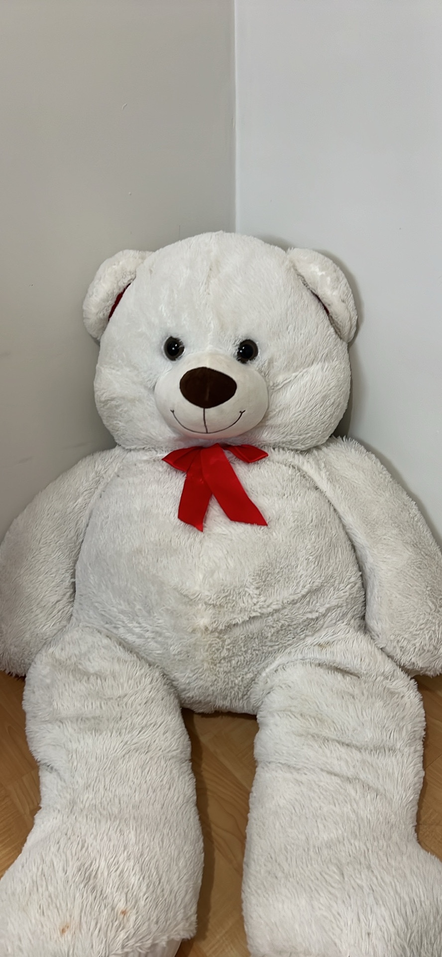 Teddy