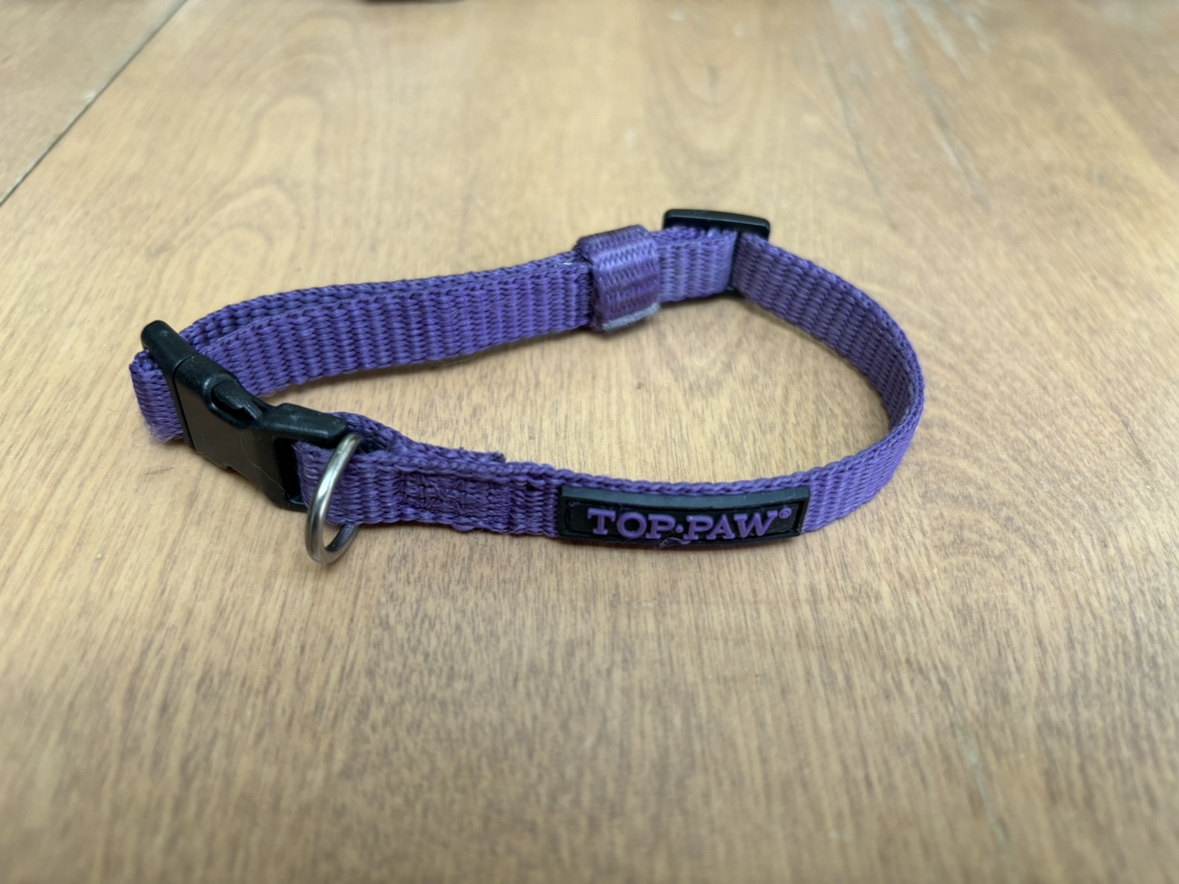 Top paw dog collar, small