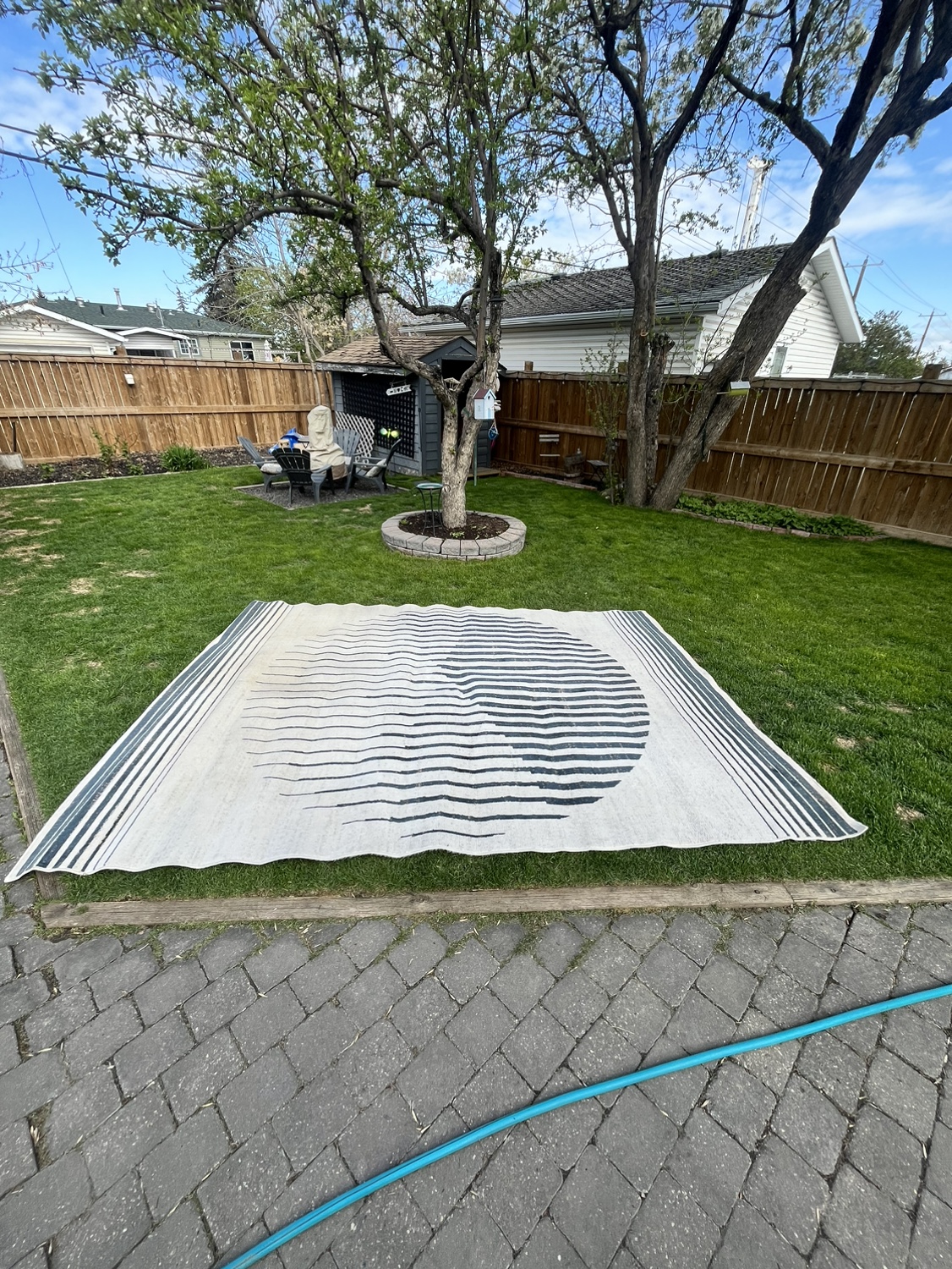 Area Rug