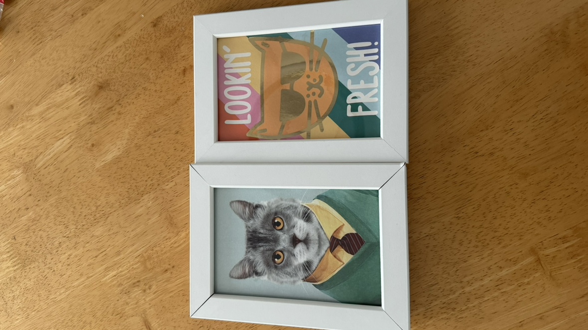 4 Ikea wall frames (Fiskbo, white) + wall art posters - photo 4