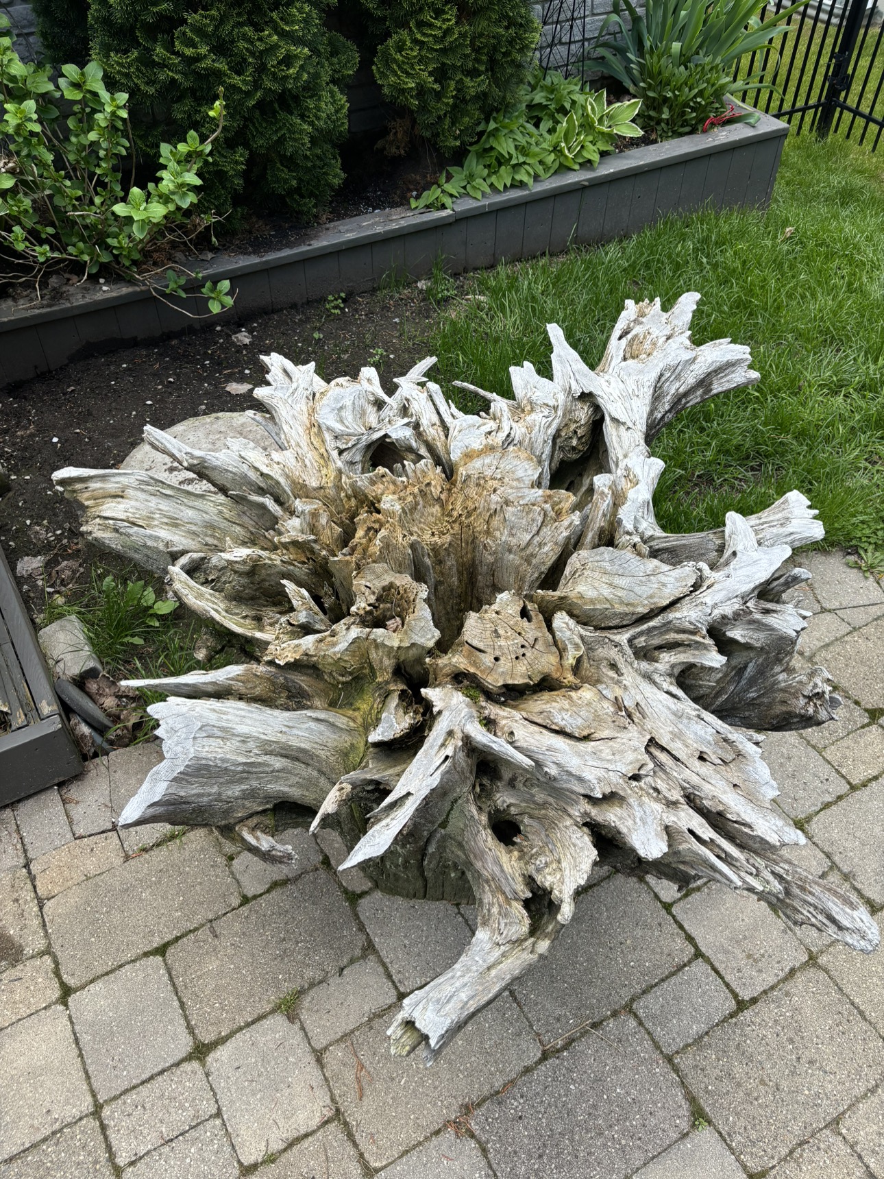 Whimsical Tree Stump Table Base
