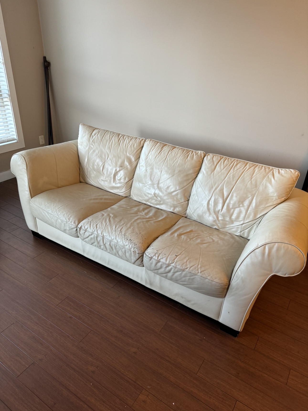 Free Couch - photo 2