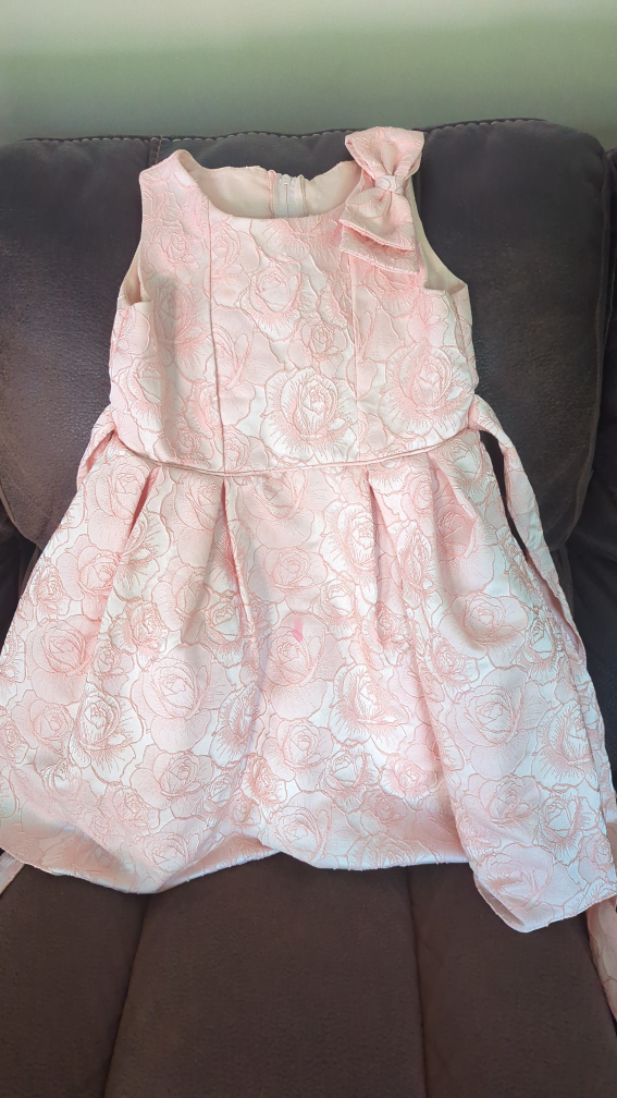 Baby princess brocade coral pink dress image indicator(2)