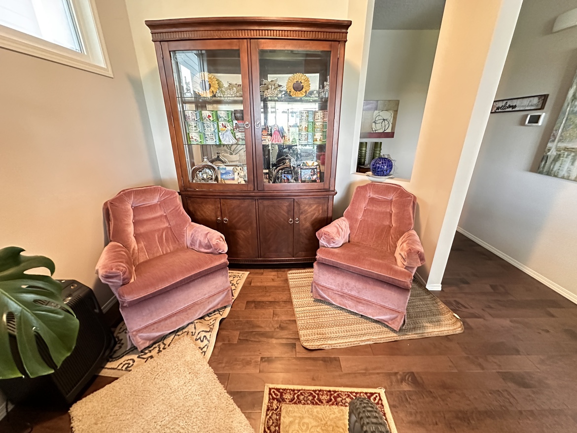 Accent chair/rocking chair