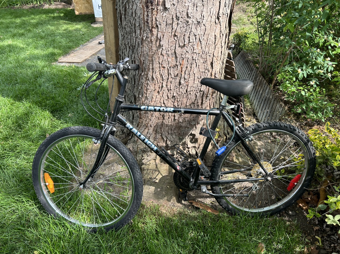 Raleigh Bike thumbnail