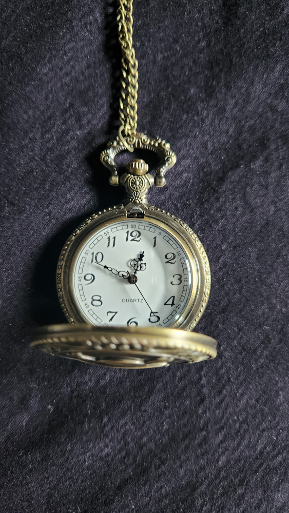 One Piece pocket watch image indicator(3)
