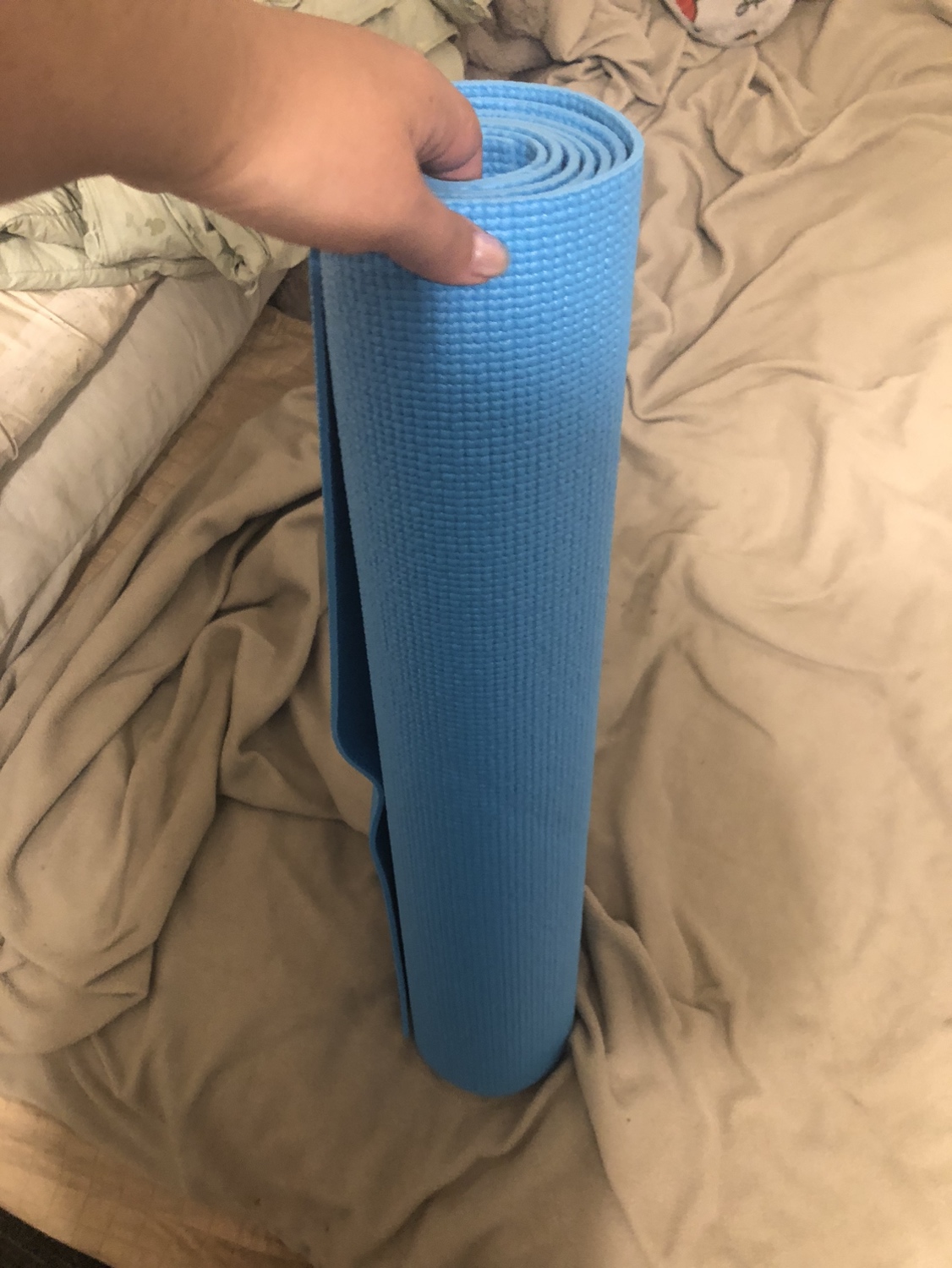 dumbbells with exercise mat - photo 3