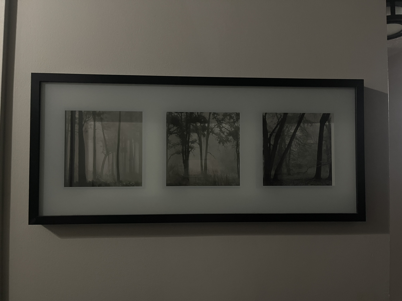 pictures