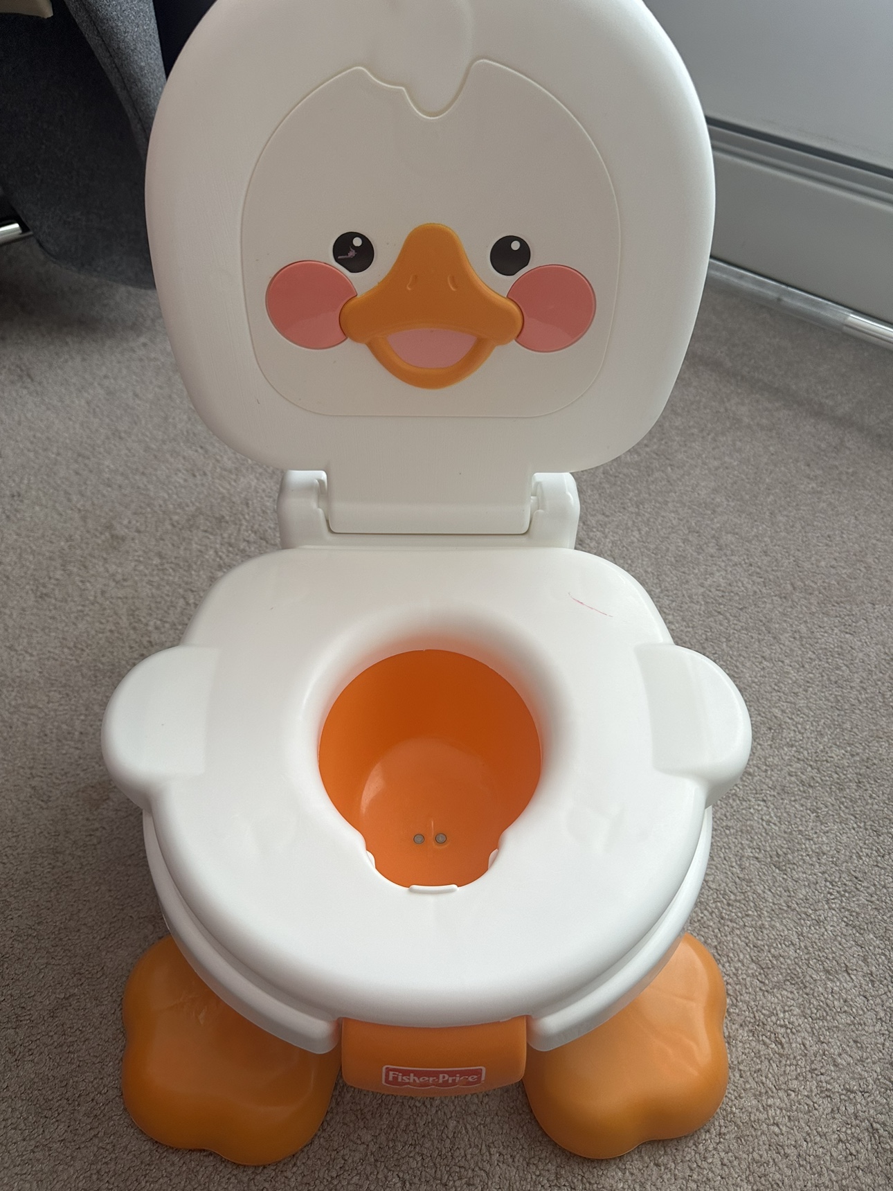 Kids potty