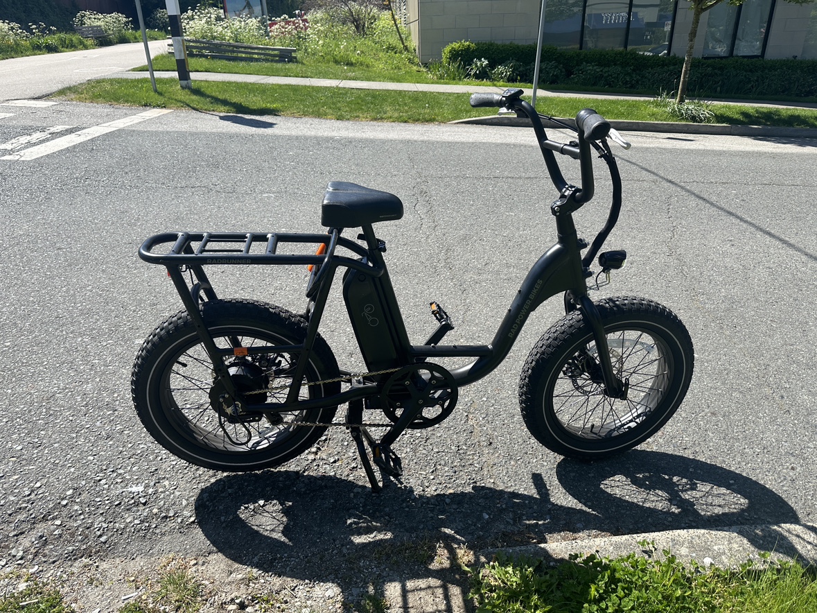 RadRunner 2 E-Bike - photo 3