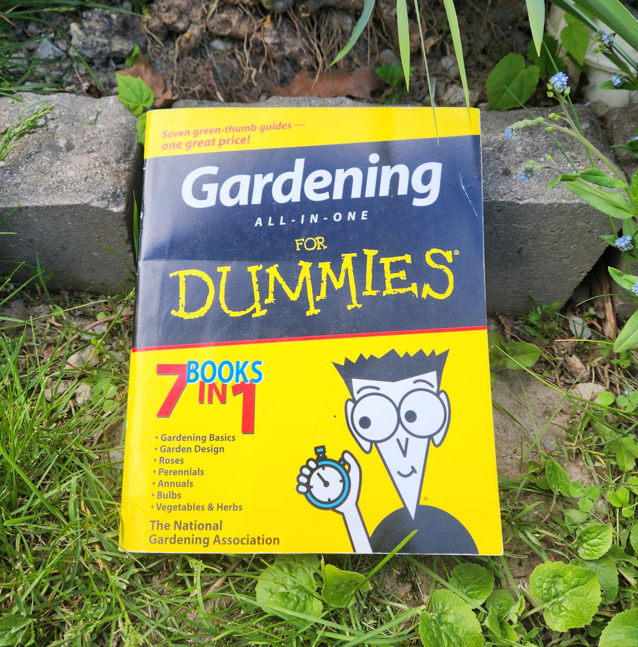 Gardening All-in-One For Dummies Book