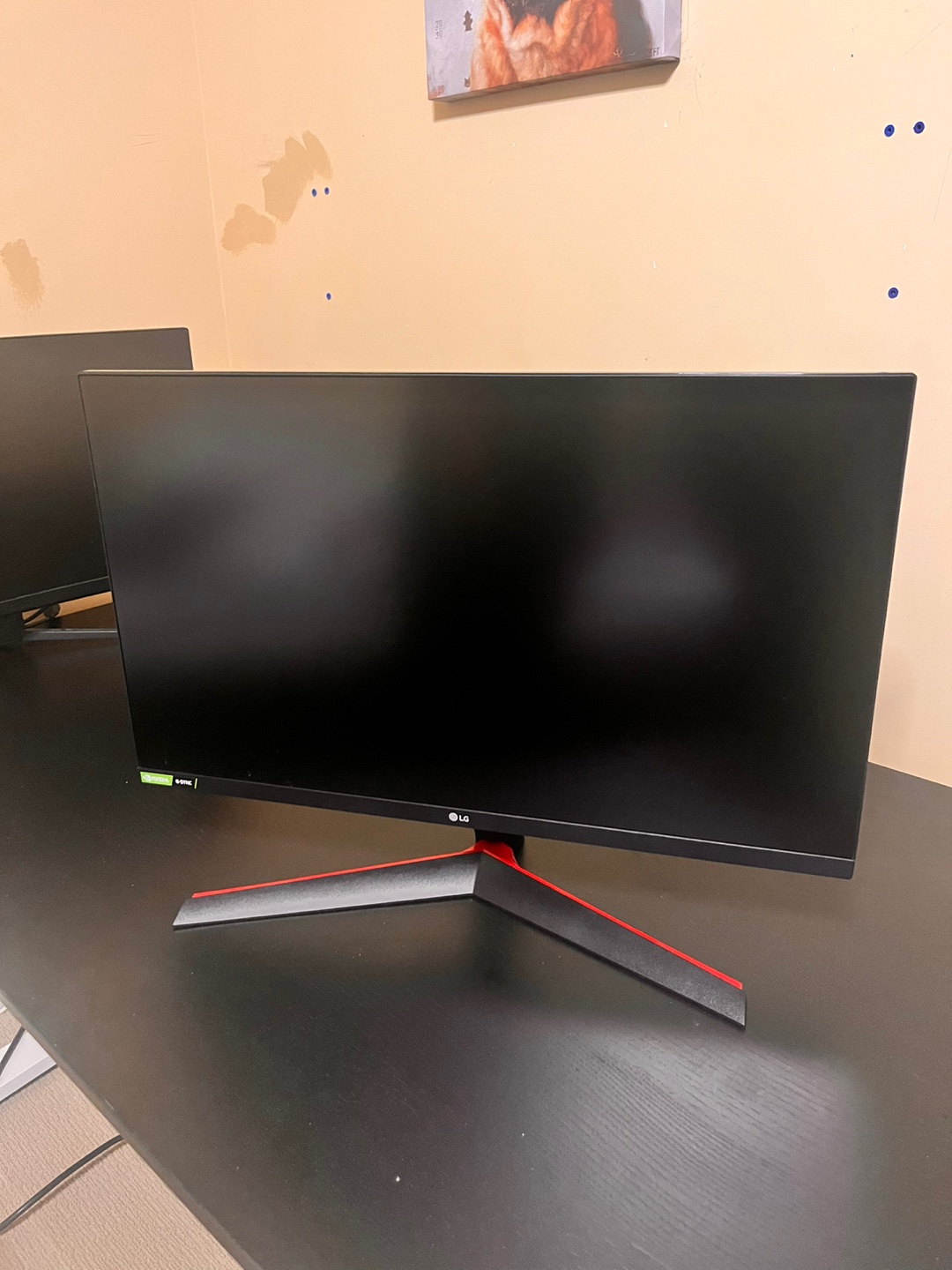 LG gaming monitor 27GN600 144HZ