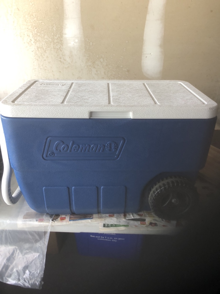 Cooler