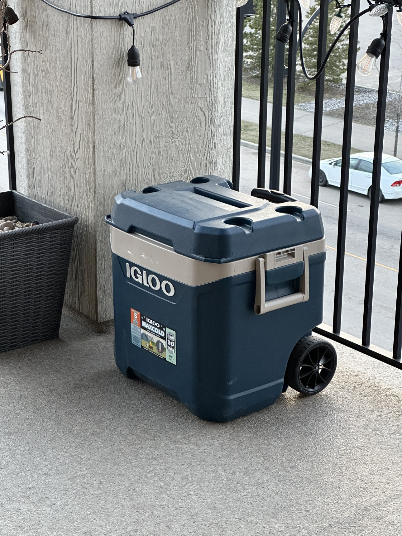 Cooler