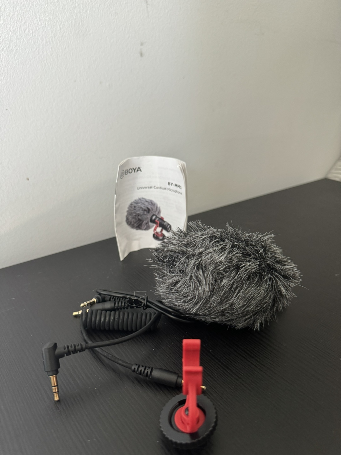 MICROPHONE