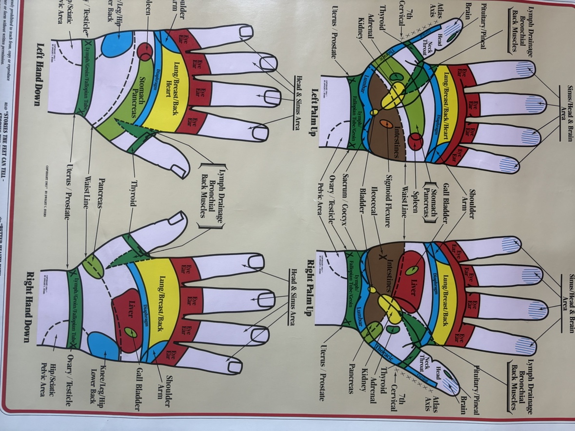 2 Reflexology Chart: Hand- Foot - photo 2