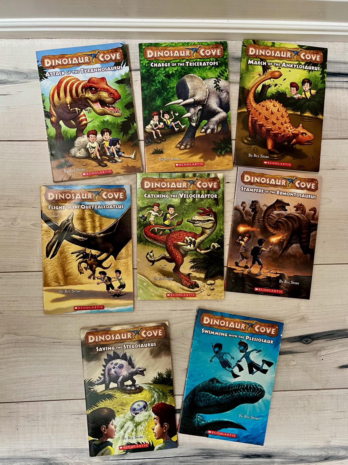 Lot of 8 Dinosaur Cove Books thumbnail
