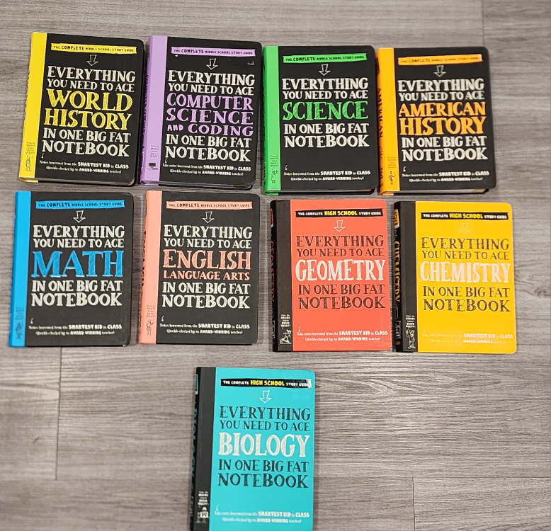 Everything You Need to Ace Book Series thumbnail