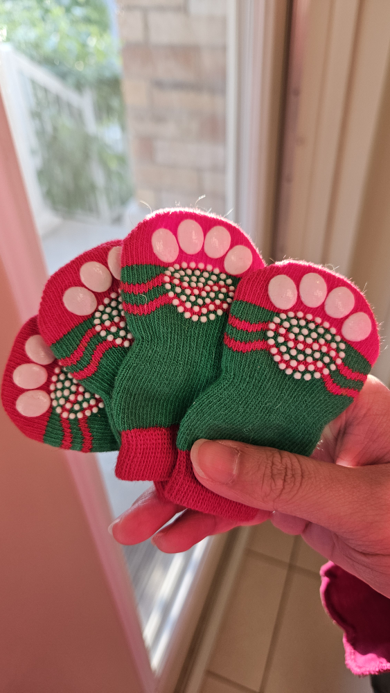 Holiday Themed Cat Socks #freecycle thumbnail