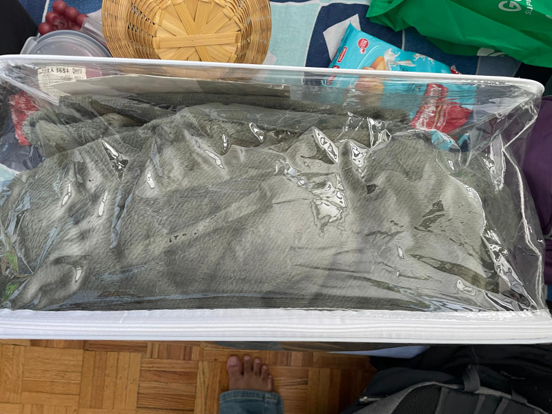 unused queen size comforter