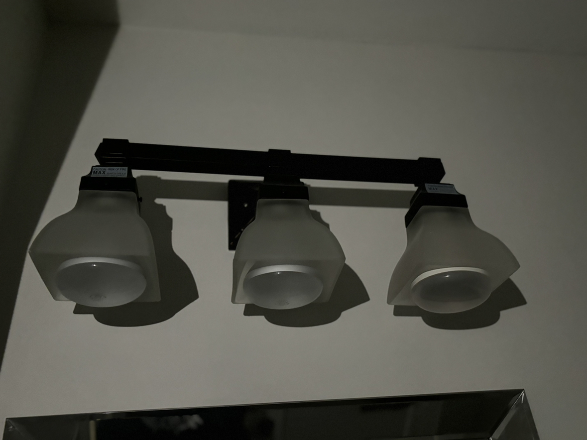 Bathroom vanity light