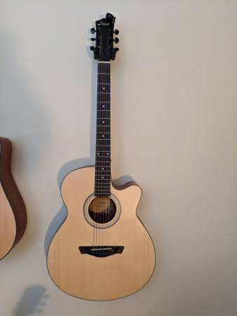 acoustic guitar, with gig bag