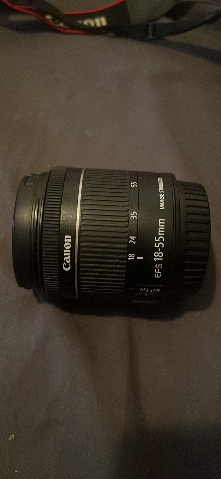 Canon EOS Rebel SL3 - photo 2