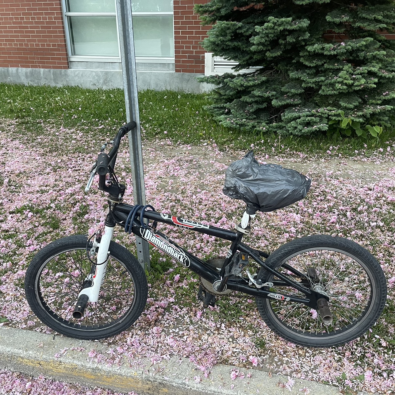 Diamondback joker BMX bike - photo 5
