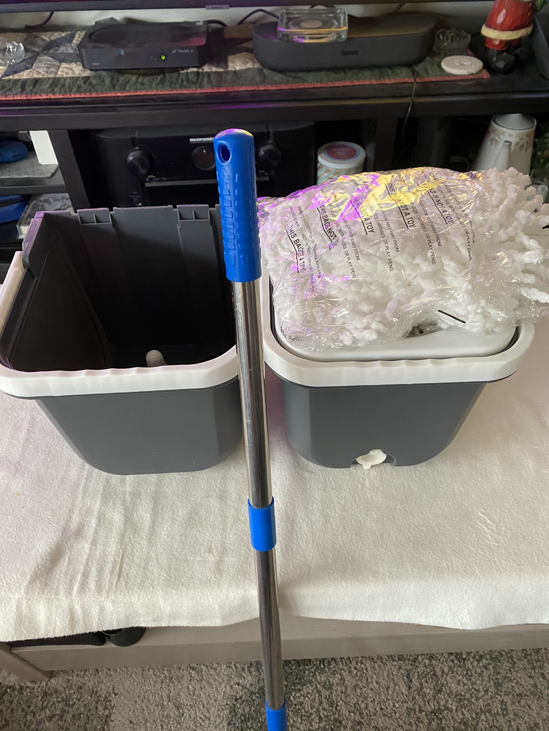 Mop with buckets